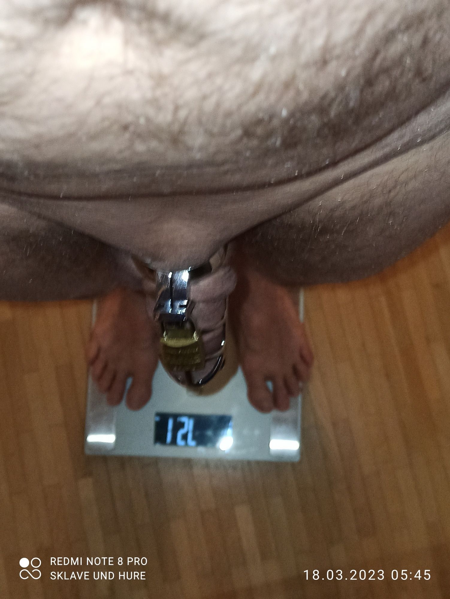 mandatory weighing and cagecheck of 18.03.23