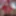 Red & Tan Baby Doll Cum Shot