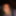 2019 random  #56