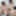 Juri Haruka, ASUKA :: Like The Butterflies - CARIBBEANCOM