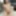 Asian babe sucks until I cum for her