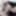 Lilly&amp;amp;#039;s body and more #3