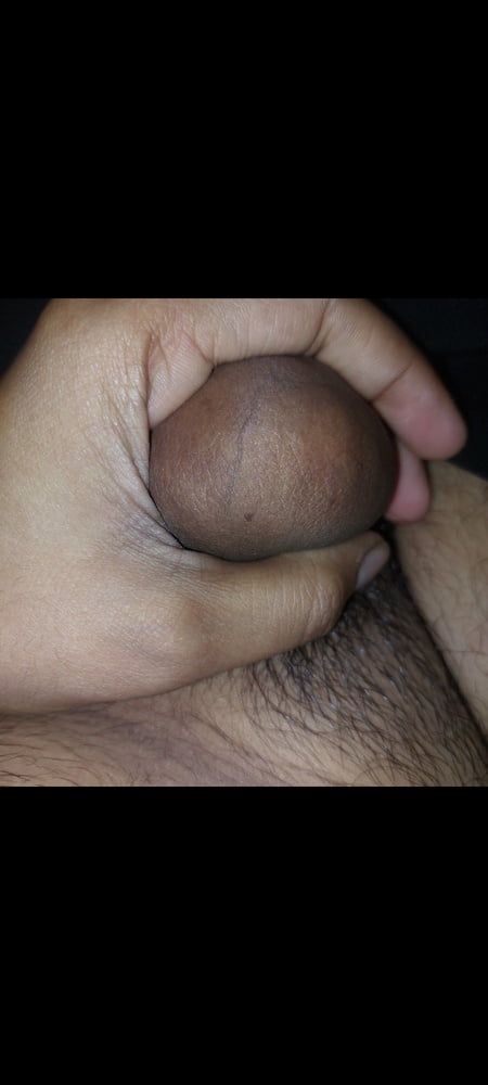 Shy Indian guy with hard and hairy dick