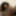 DeluxeDivas.com - Live Chat - Tamiry Chiavari #10