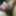 Fingering subincision deep #9