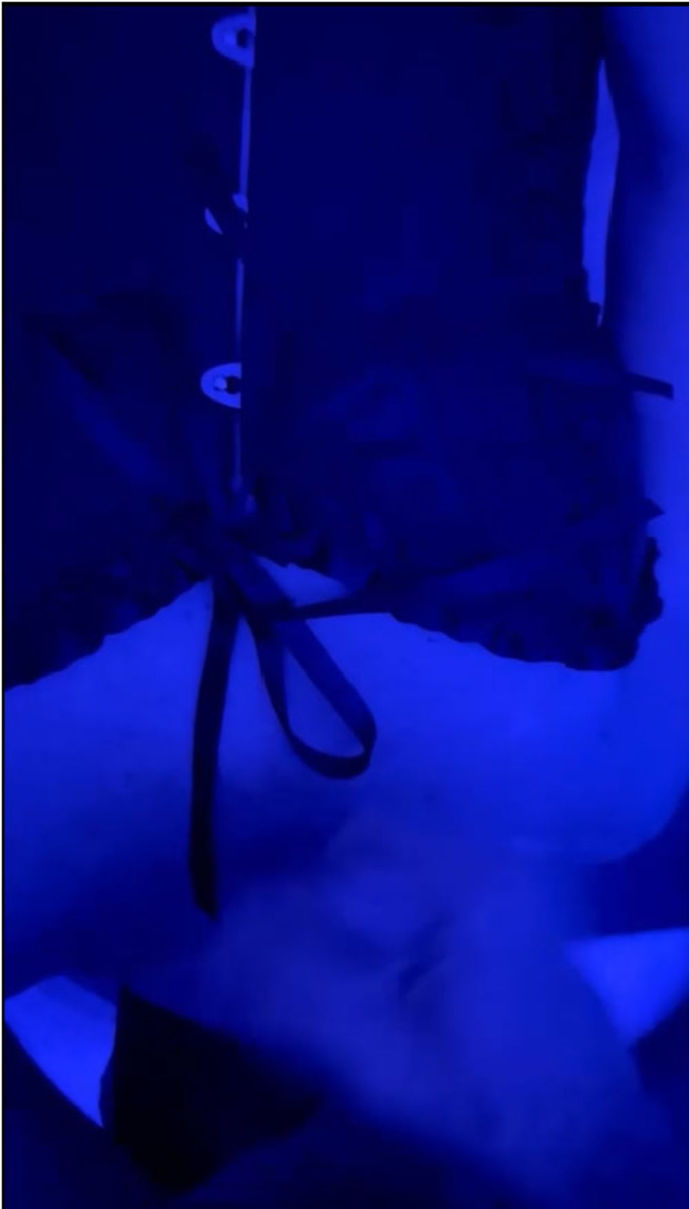 Blue Lights &amp; Boundless Pleasure: A Master&#039;s Delight #9