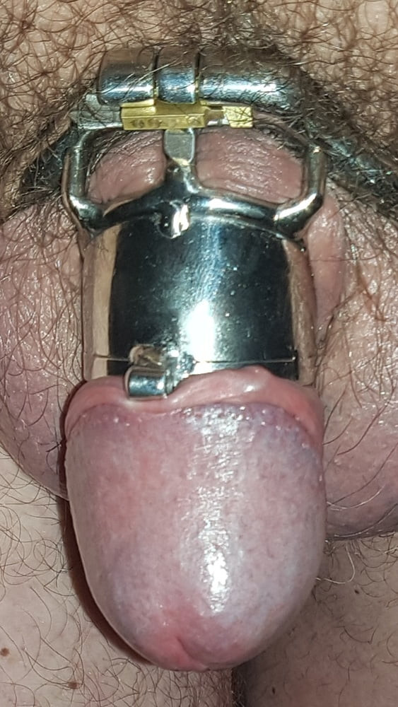 Chastity cage #26