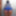 blue lace shorts
