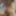 Day Two and Three of My Masturbation Vacation #7