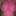 Pink Lady #3