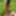 Gray-haired beauty posing naked outdoors on a blanket #53