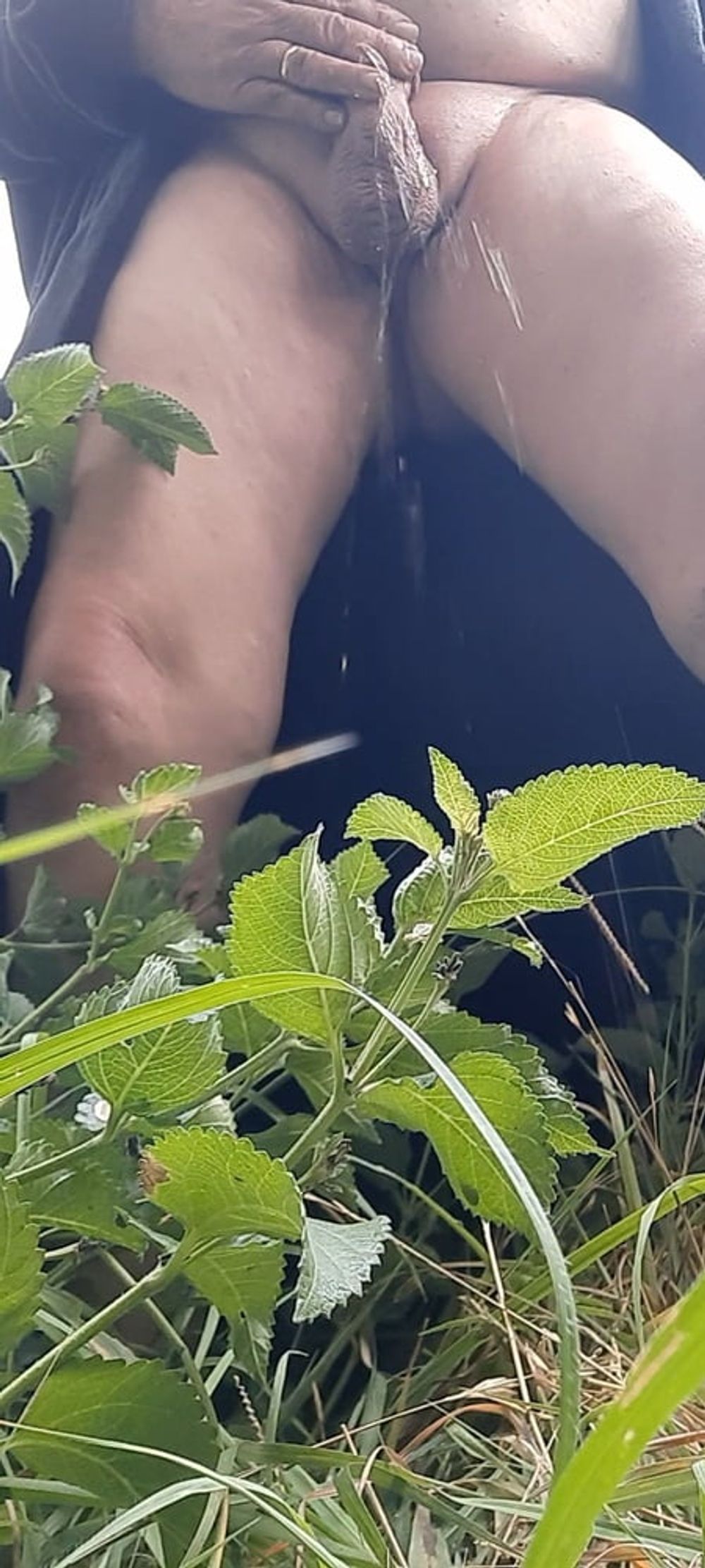 Exhibitionist pee on myself outside  #8