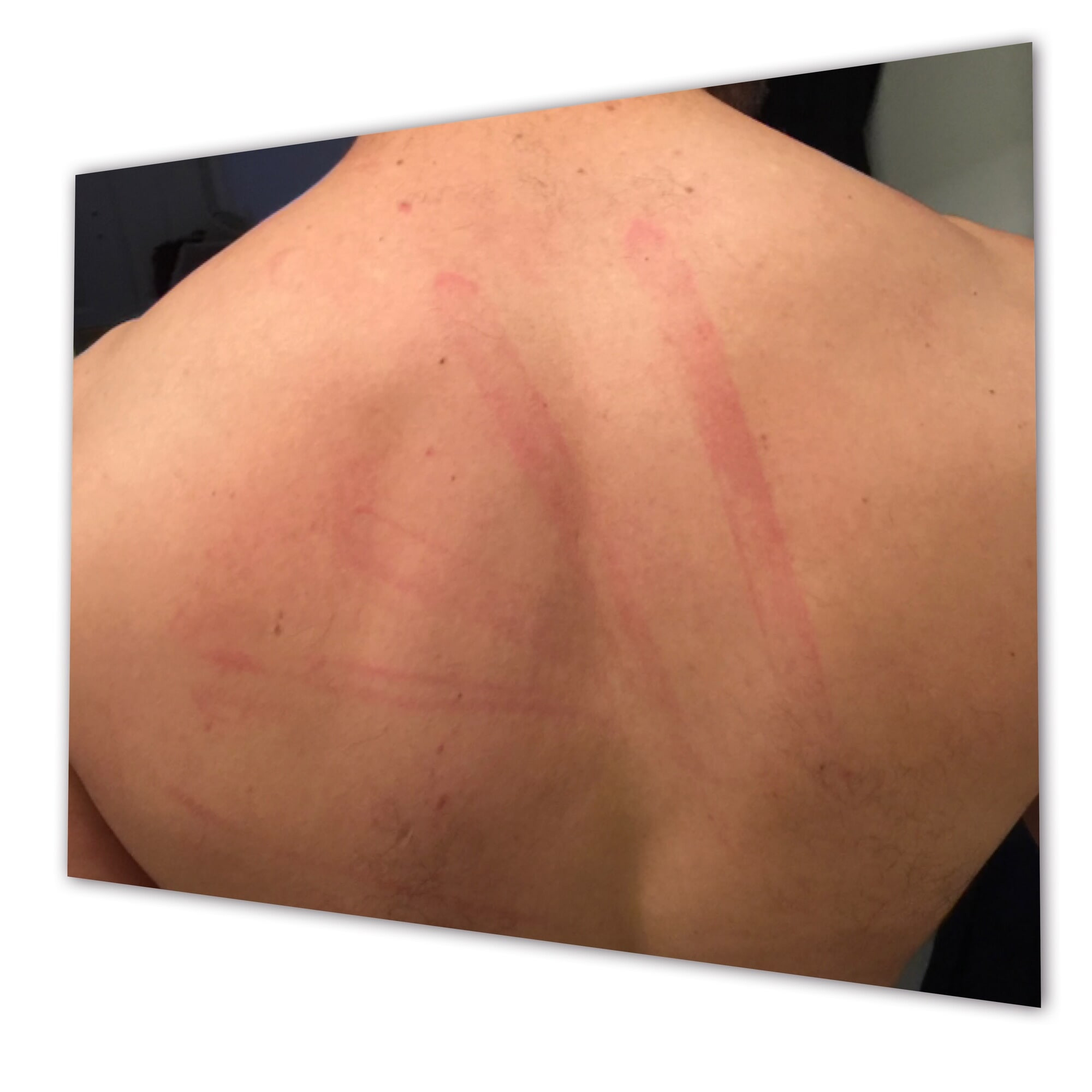 Zak got back!