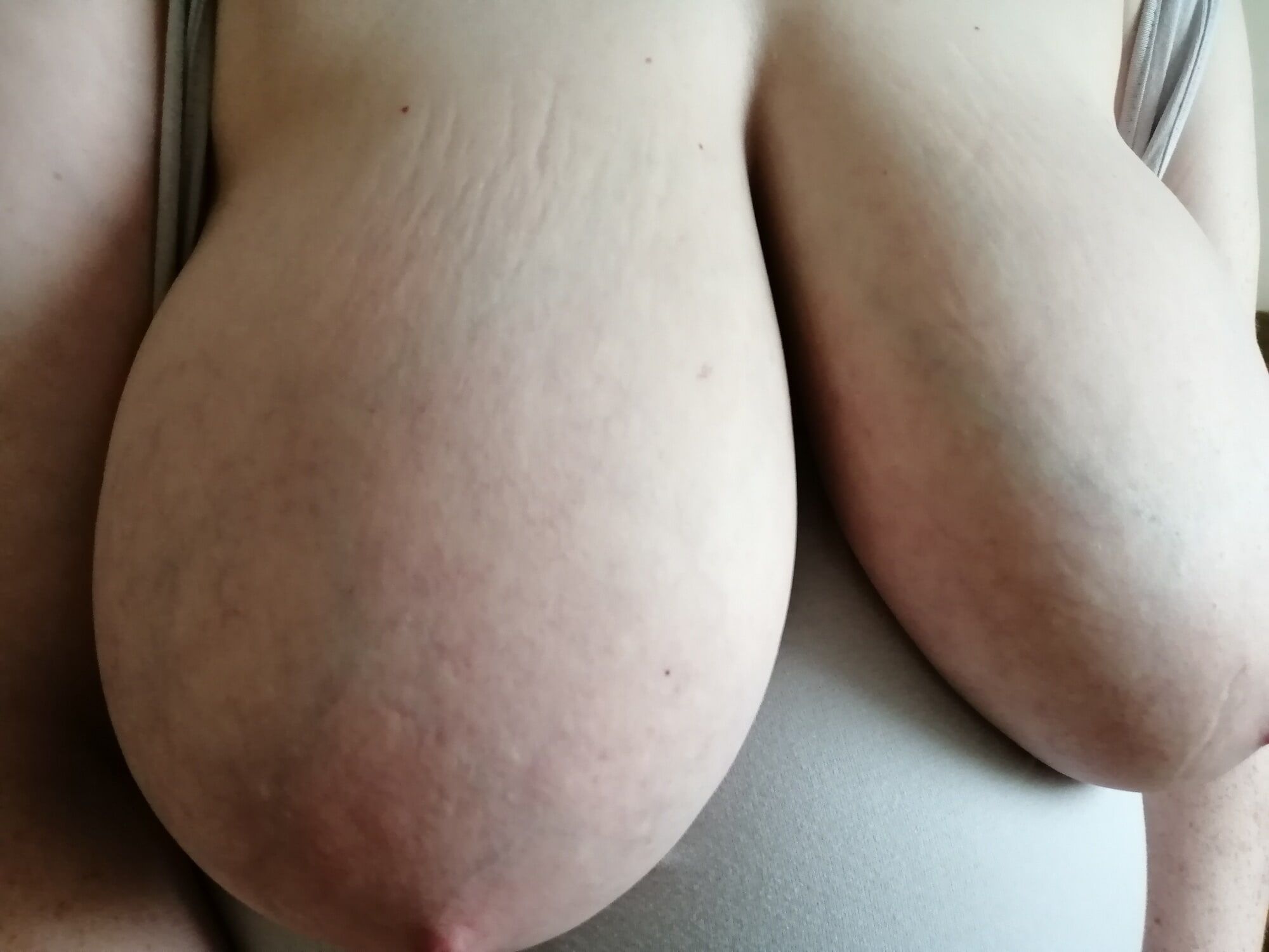 Good-quality photos of my tits #29