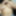 Monse Free Photos