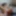 Feburary 2019 -2 #2