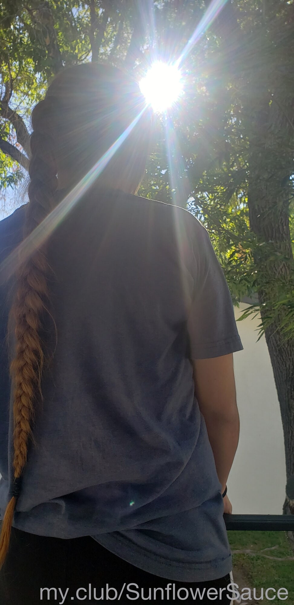 🌻 Sunflower.Sauce  Free Photos #17