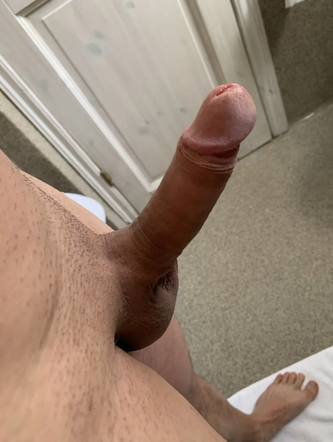 Cock & Body