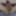 Nudes: March 2023