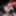 Mixed pics from the gangbang party with Nora Wildlife - 4