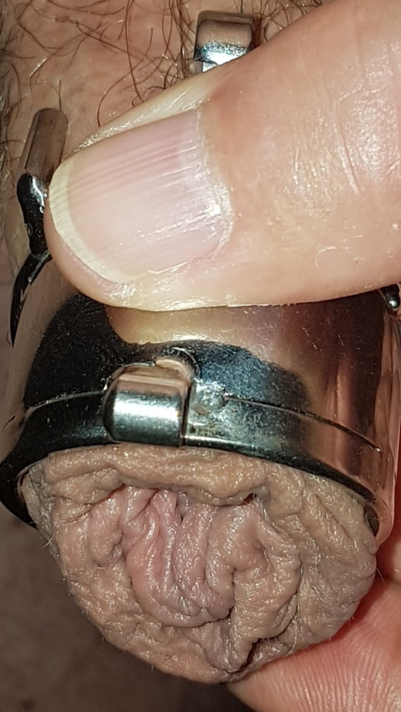 Chastity cage #47