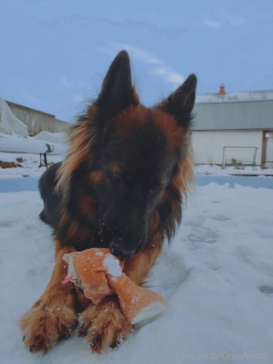 Minnie Free Photos #14