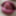 Hot baby lipstick