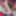 Hello Kitty Bed #41