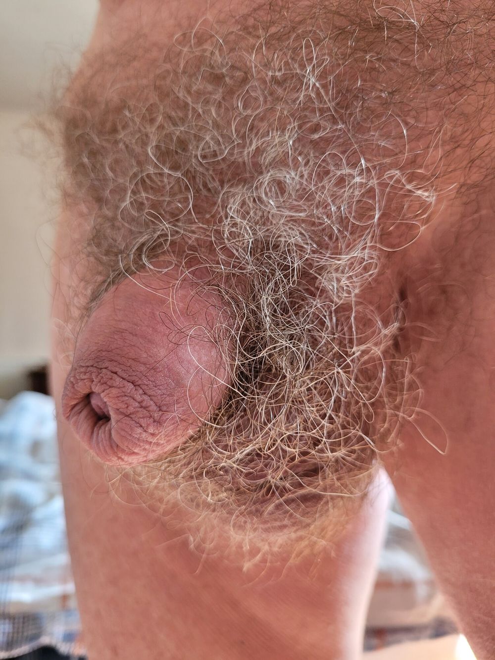 For hairy balls and pubes lovers #42