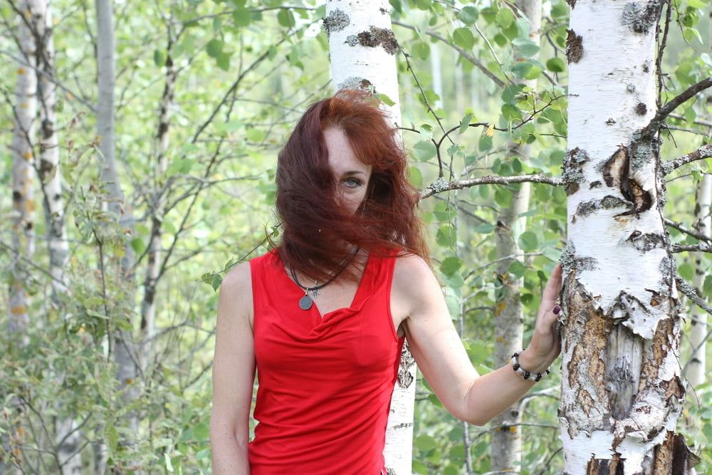 Among Birch #8