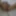 Lizzy Yum orgasm database 2023