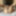 Joven sube sus nudes a internet