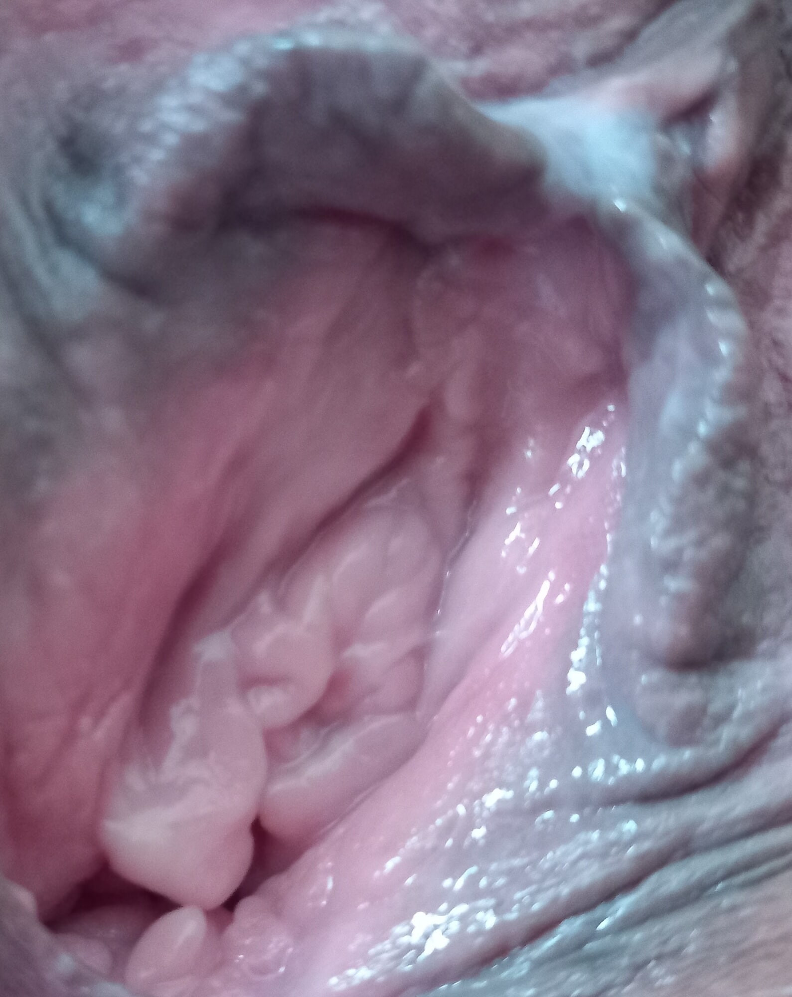 My pussy the day after the swingers club  #4