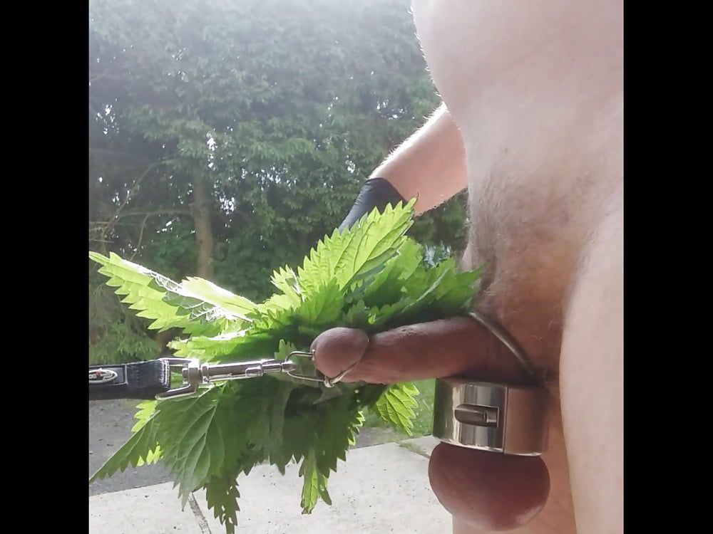 Nettles for my Cock #4