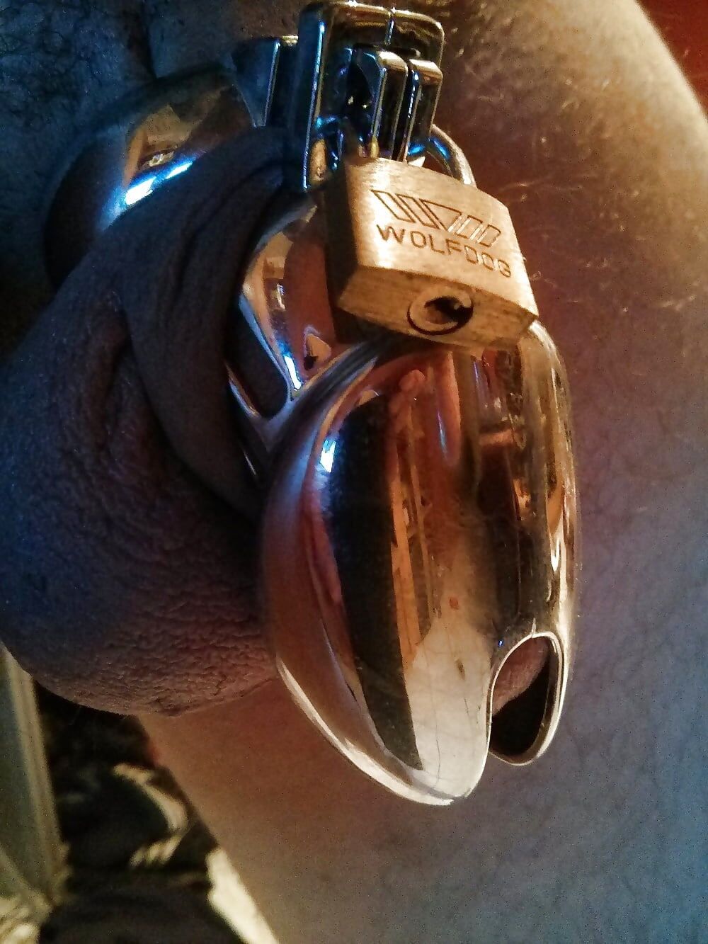 Me in different chastity cages #2