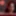 xHamster Creators Halloween Contest!