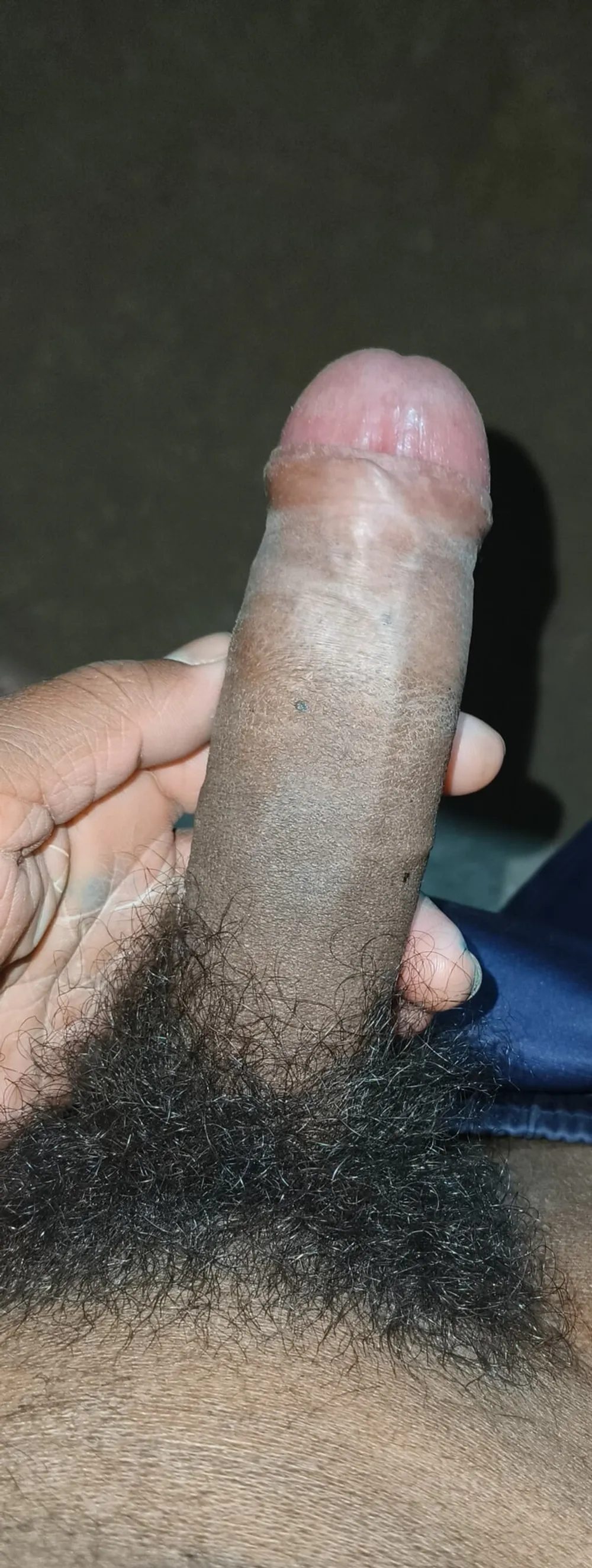 MY PENIS #5