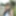 Erotik porno fotoğraflar 385