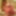 Lucia Gallery 2 #2