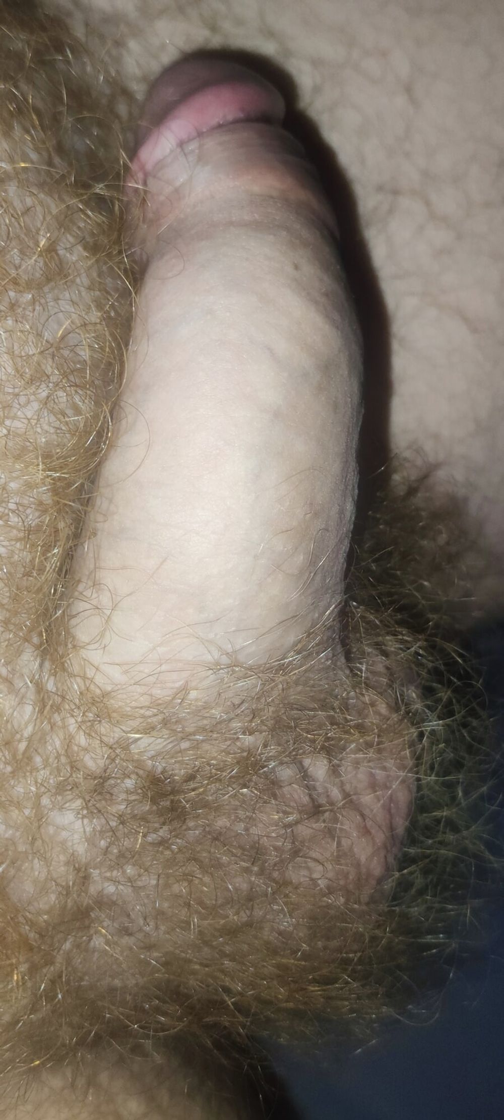 My Red Bush Dick #8