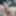 DickPick