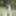 Black cock is fucking blonde and brunette outdoor