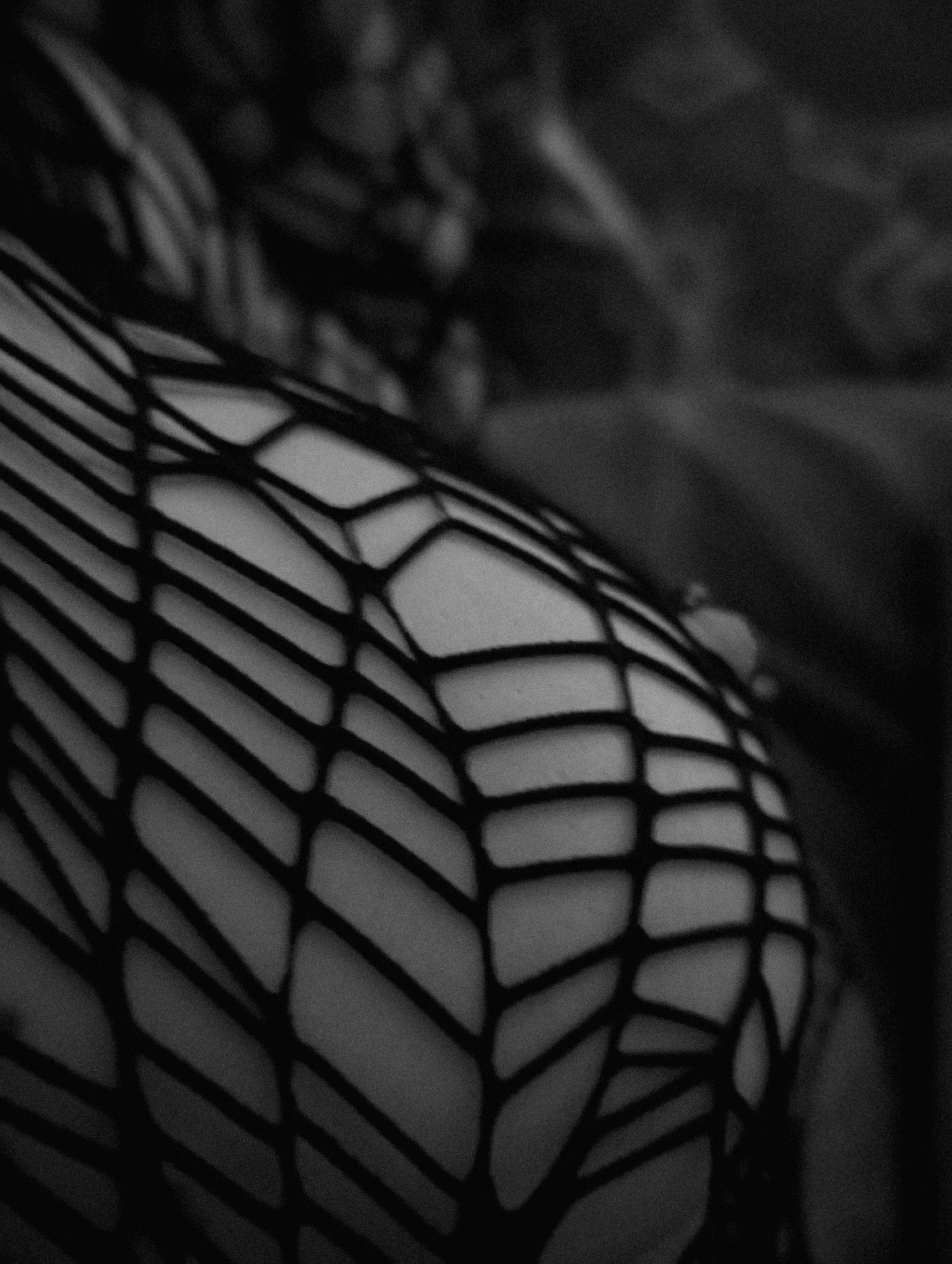 Naked ... or not ?  #5