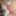 Sexy cam blonde cam couple