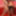 Redhead and Blonde Both In Sheer Pantyhose #45