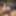 Indian big juicy dick