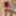 Purple Basque 