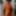 Naked in Key West