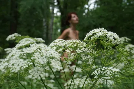 in white flowers           