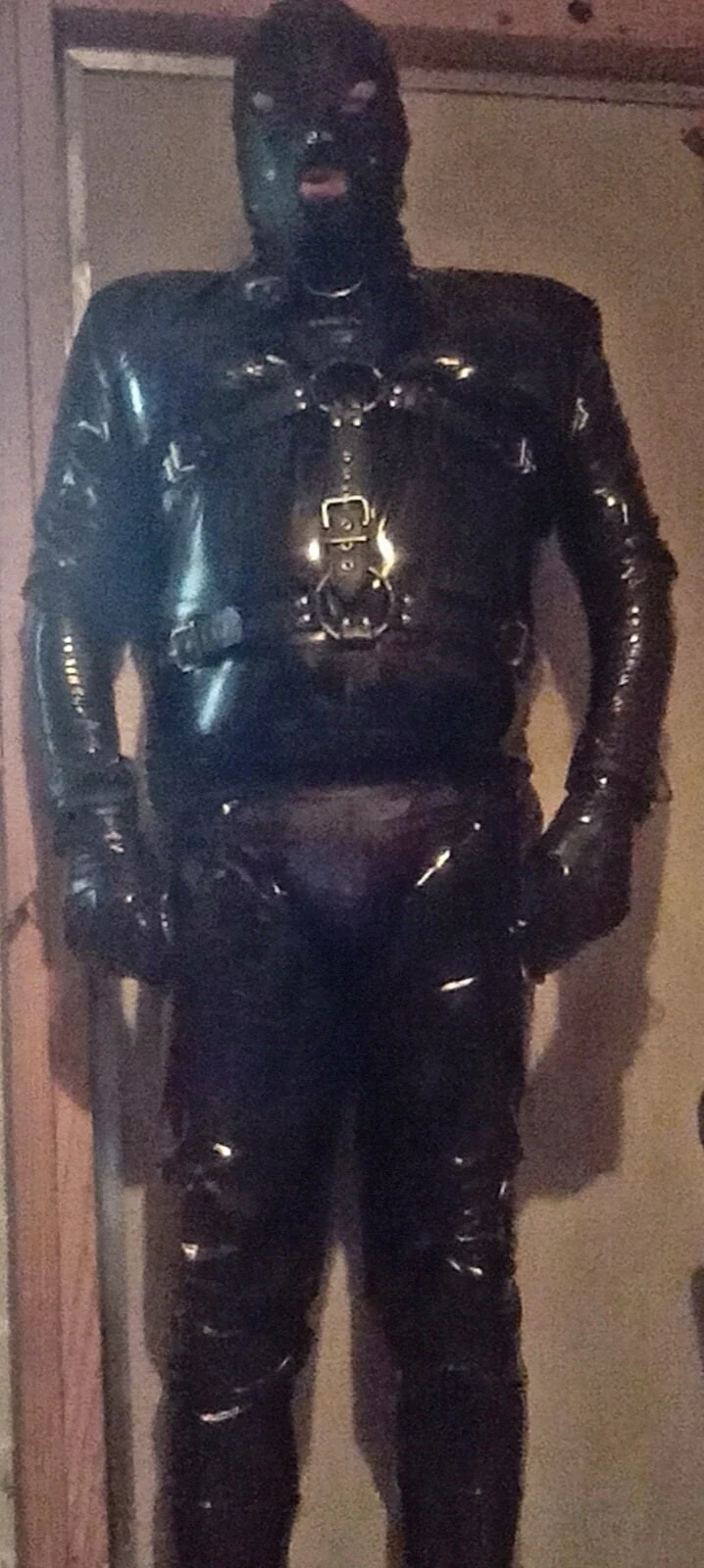 Gimp